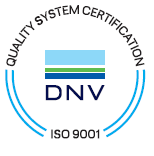 Logo DNV.PNG